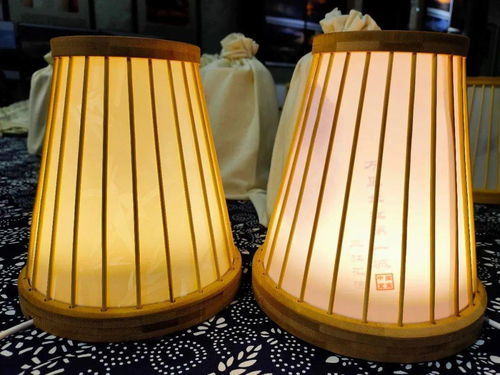 宜賓造智能竹燈發(fā)布 科技文創(chuàng)產(chǎn)品新玩法，燈具塑件引領(lǐng)未來